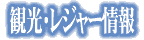 ���W���[�E�ό�