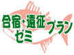 ���h�E�[�~�v����