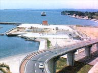 ���킫�T���}���[�i