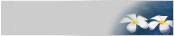 �X�p���]�[�g�E�n���C�A���Y�Q���ԓ��ꌔ�t�v����